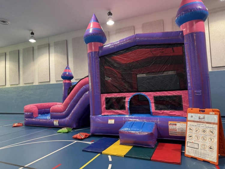 Princess Dual Lane Combo (Wet or Dry Slide)